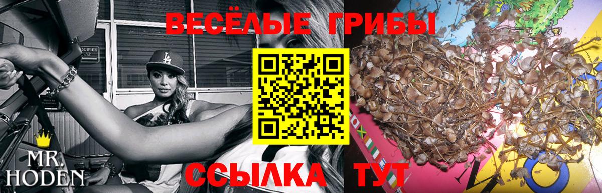 Галлюциногенные грибы мухоморы  Вход с VPN  Орехово-Зуево 